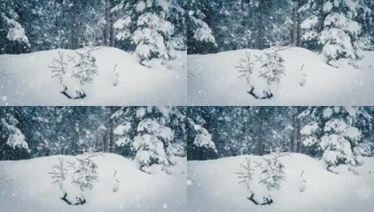 树枝上美丽的蓬松的雪。雪花从云杉树枝上美丽地飘落下来。冬天的童话，树在雪中囚禁。冬天下雪的录像高清在线视频素材下载