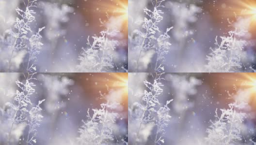 圣诞卡片(循环4k) -雪花与闪光的效果。高清在线视频素材下载