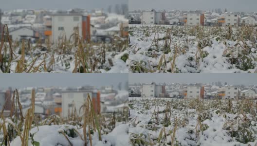 小城镇的住宅建筑和白雪覆盖的田野高清在线视频素材下载