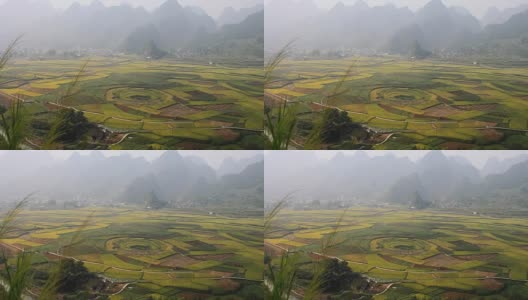 在中国农村高清在线视频素材下载