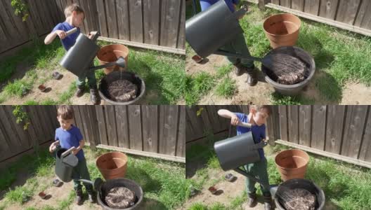 小男孩在自家后院做园艺高清在线视频素材下载
