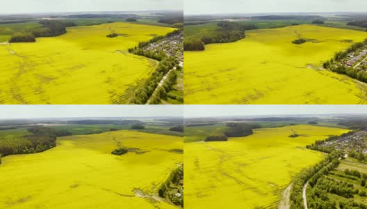 春季农村油菜籽田的Arial视图。村舍以油菜植物为背景。高清在线视频素材下载