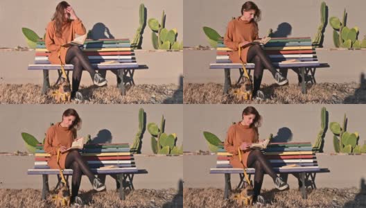 拉丁女人在看书，狗在户外的木凳上。高清在线视频素材下载