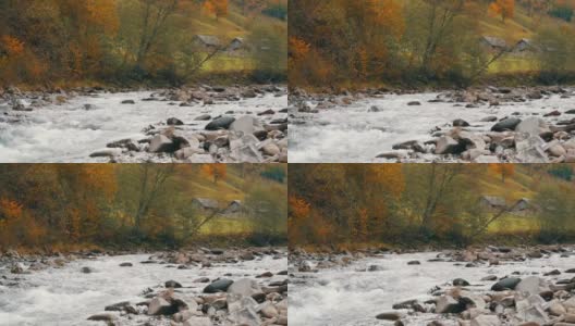 湍急、寒冷的Cheremosh山溪在喀尔巴阡山脉岩石海岸的背景上。Dzembronya山村初秋雾蒙蒙的早晨高清在线视频素材下载