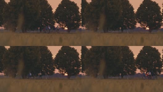 日落时分，一个家庭带着三个孩子在绿树成荫的乡间小路上骑单车高清在线视频素材下载