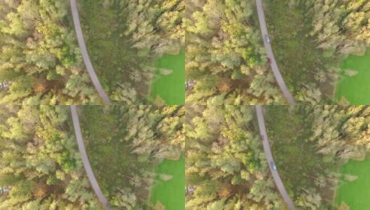 天线:秋天巴伐利亚森林里的小路高清在线视频素材下载