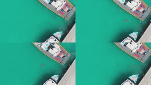 在印度洋，马尔代夫的阿利夫阿利夫环礁上，灰色礁鲨在拉杜岛的渔船周围游动。用无人机拍摄野生鲨鱼在绿色的水中与船只的视频。高清在线视频素材下载