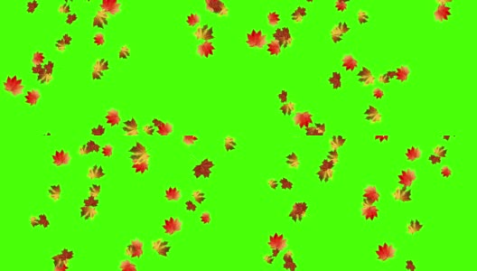 秋叶落环，绿屏色键高清在线视频素材下载
