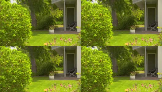 郊区房子后院的草坪高清在线视频素材下载