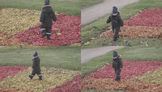 穿着工装裤的男孩在铺满彩色锯末的花坛上玩耍高清在线视频素材下载