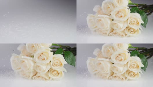 白玫瑰慢镜头高清在线视频素材下载