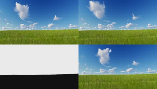 蓝色的天空上吹着青草，光洁的附着高清在线视频素材下载
