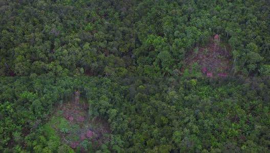 无人机飞越印度尼西亚西巴布亚雨林中的科罗威树屋高清在线视频素材下载