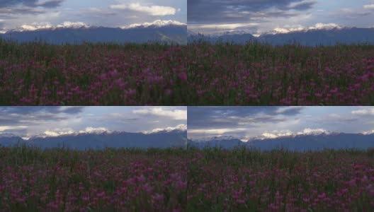 吉尔吉斯斯坦的天山山脉高清在线视频素材下载