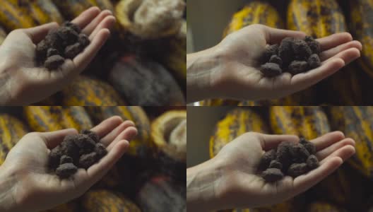 一名女子手里拿着可可豆，背景是可可水果高清在线视频素材下载