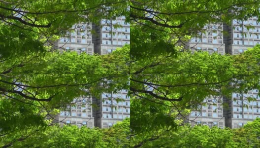 美丽的新绿化和城市建筑高清在线视频素材下载