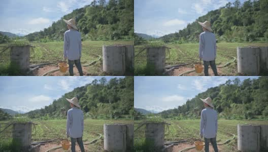 后视图自豪的年轻亚洲中国农民提着黄色的桶看着他的农场高清在线视频素材下载