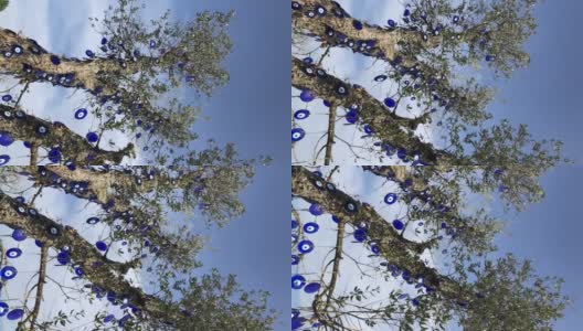 在阳光明媚的日子里，橄榄树上装饰着蓝色邪恶的眼睛珠子，衬着美丽的天空，祈求好运或防止坏的想法高清在线视频素材下载