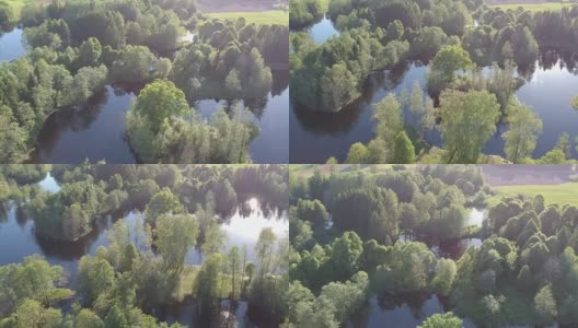 阳光明媚的湖景带着春天的绿树，鸟语花香高清在线视频素材下载