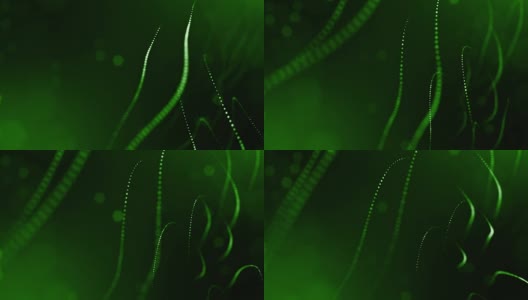 发光粒子的3d渲染作为科幻小说的背景或现代抽象的绿色背景的粒子与景深和散景像vj循环。粒子形成线和弦结构。10高清在线视频素材下载