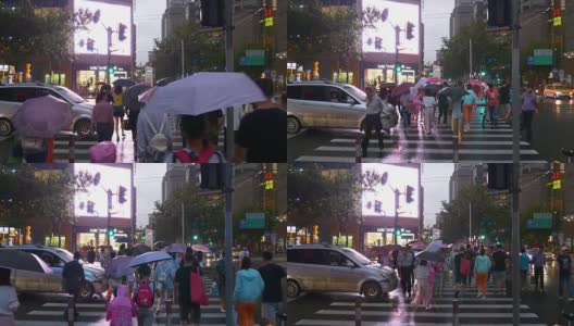 雨夜上海城市交通街道人行横道全景4k中国高清在线视频素材下载