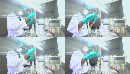 干细胞实验室实验高清在线视频素材下载