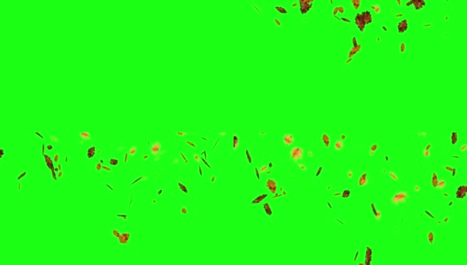 秋叶落在绿色屏幕上，色度键编辑背景高清在线视频素材下载