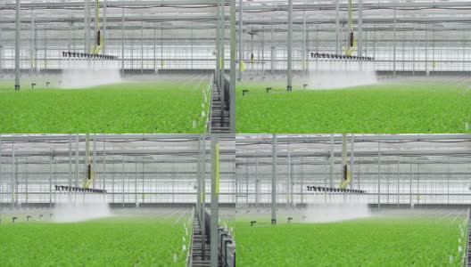 采用现代技术控制的温室水农业系统高清在线视频素材下载