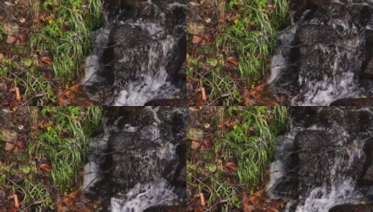 Spring-Flowing水高清在线视频素材下载