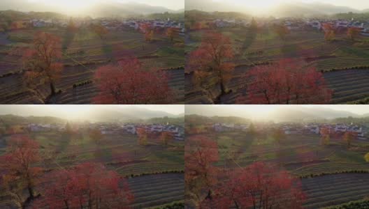中国安徽鲁村的乡村景观高清在线视频素材下载