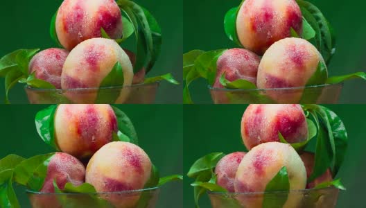 收获桃子的季节高清在线视频素材下载