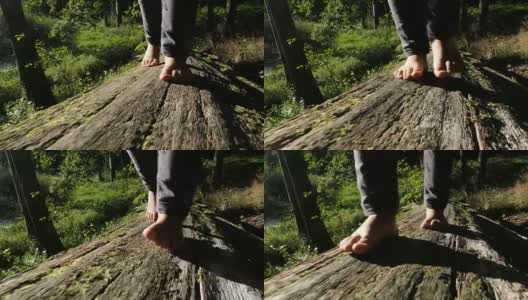 孩子光着脚走在树上原木在森林慢镜头高清在线视频素材下载