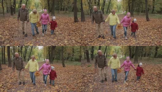 老年夫妇和孙辈在秋天相聚高清在线视频素材下载