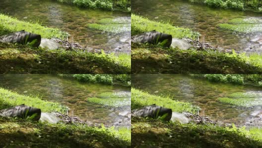 自然环境中从水管中流出的水高清在线视频素材下载