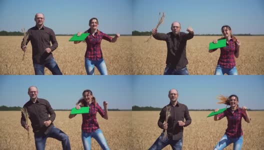 疯狂滑稽的农艺学商人在田间用耳朵在谷地附近跳舞高清在线视频素材下载