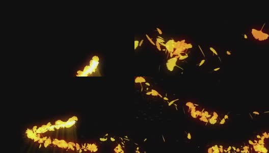 秋叶旋转，银杏，CG动画高清在线视频素材下载