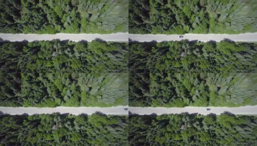 森林中的道路的4K航拍视频视图高清在线视频素材下载