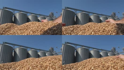 小麦在手收获后，存放在筒仓中高清在线视频素材下载