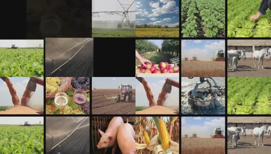 农业-食品生产分屏高清在线视频素材下载