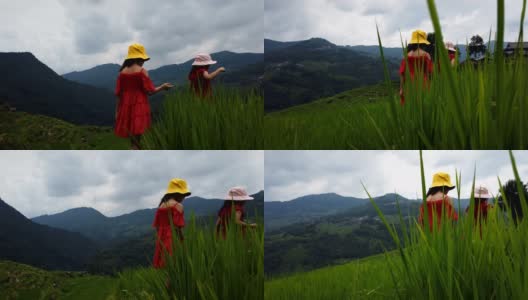 中国贵州家邦，小女孩们在梯田里散步。高清在线视频素材下载