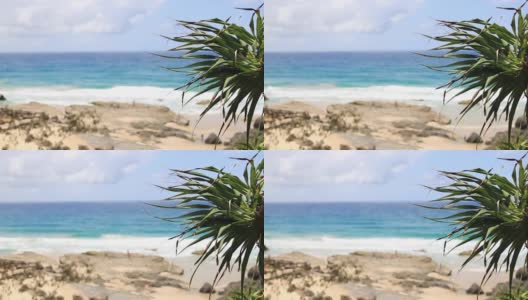 热带海滩与棕榈树海洋夏季海浪风景景观澳大利亚高清在线视频素材下载