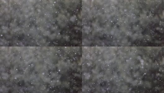 以绿松枝为背景，延时拍摄飘落的雪高清在线视频素材下载