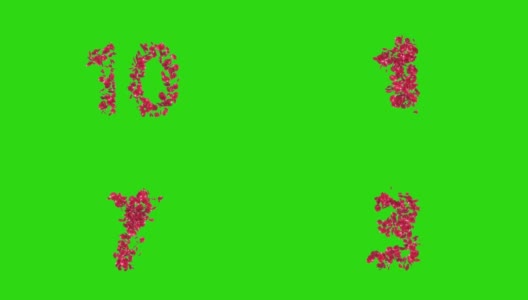 倒计时从十玫瑰花瓣制成，绿屏色makey高清在线视频素材下载