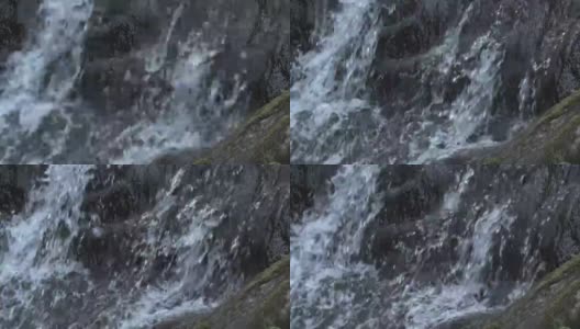 水如瀑布般流淌在长满苔藓的岩石上。泉水顺着石床流下。山河溅起泡沫，溅成小水花。前景是一棵长满苔藓的老树。高清在线视频素材下载