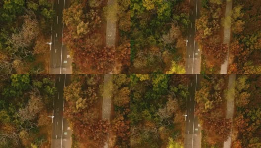 鸟瞰图的公共公园与自行车道高清在线视频素材下载