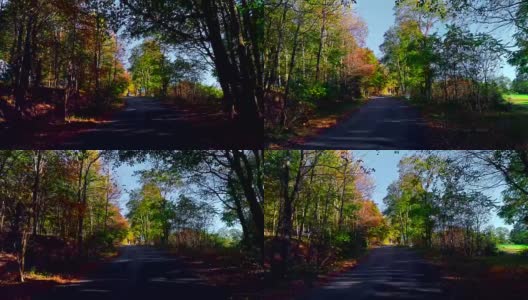 无人机低空视频。在树叶茂盛的秋天，沿着乡间小路穿过森林。科勒,宾夕法尼亚州,美国高清在线视频素材下载