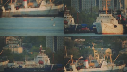 船在港口。海鸥在港区的水面上飞翔。特写镜头高清在线视频素材下载