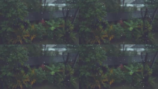 慢镜头:小小的雨点向郁郁葱葱的热带后院落下。高清在线视频素材下载