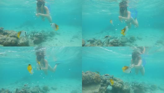 水下:年轻的女性浮潜者在喂养一群五颜六色的外来鱼。高清在线视频素材下载