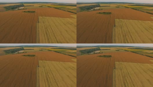 联合收割机在阴天采集金色小麦的鸟瞰图。FullHD高清在线视频素材下载